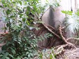 (85) Complesso Monastico - Giardino dei Novizi.jpg